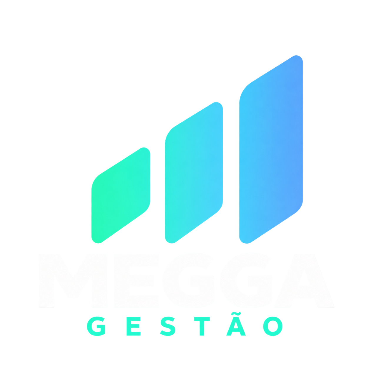Megga Gestão